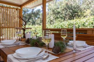 Mobile home Pine Adria - Biograd na Moru - 5