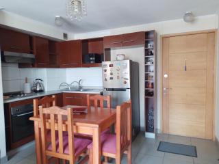 Arriendo Departamento a Turistas en Santiago - Santiago - 7