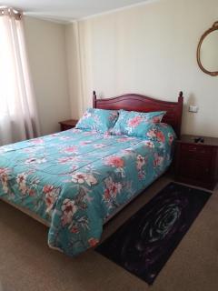 Arriendo Departamento a Turistas en Santiago - Santiago - 4