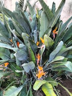 IL GIARDINO DI ANTONELLA - 3