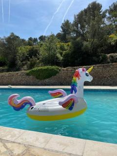 Olivya - Le Beausset - 3