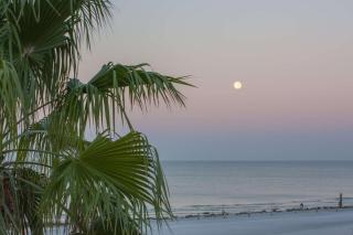 114 - Royal Orleans - St Pete Beach - 6