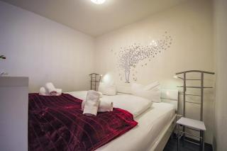 Apartmenthaus Frauenpreiss FeWo 111 - 8