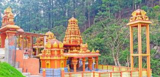 The Green Savanna Holiday Bungalow Nuwara Eliya - 6