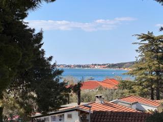 Beach Apartment - 50m from the Beach with Free Parking - Biograd na Moru - 6