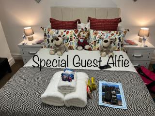 LoughView BED & BREAKFAST - Belfast - 1