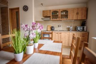 Apartmány Slavíkov - Superior Apartmán - Horní Radechová - 3
