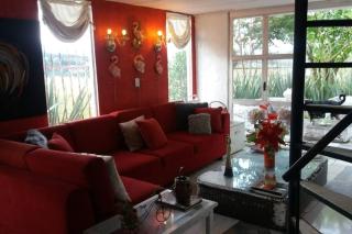 Suite Campestre Flamingo Paipa Boyaca - Paipa - 4