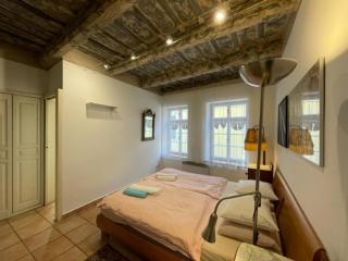 Historical apartment with balcony - Prague - 7