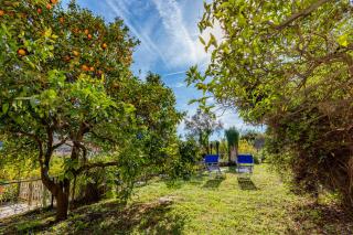 Villa Teresa a due passi da Finalborgo - Finale Ligure - 5