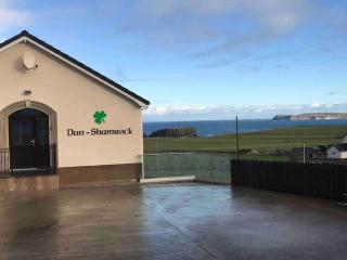 Dunshamrock @Sheep Island View - Ballintoy - 1