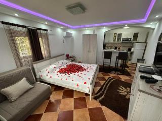 Sunshine Apartment with Private Pool and Parking - Kotor - 2