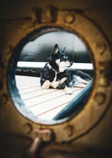 Saimaa Experience - 2