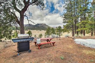 Peaceful Nutrioso Cabin Retreat with Mountain Views! - Nutrioso - 8