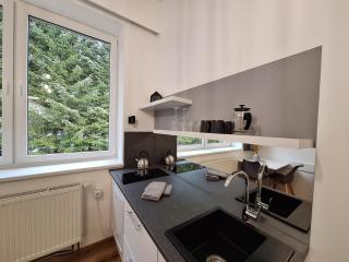 Apartmán Adéla - Černé Údolí - 4