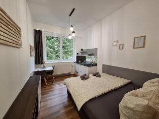 Apartmán Adéla - Černé Údolí - 3