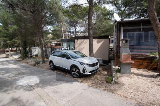 Apartments by the sea Drage, Biograd - 20703 - Pakoštane - 1