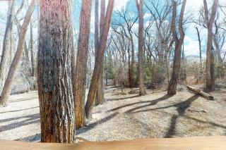 Mountain Majesty - 6