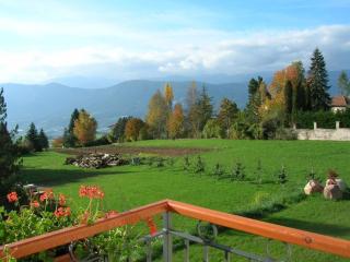 Affittacamere Villa Belfiore - Ronzone - 2