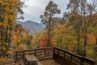 Elk Valley Lodge - Maggie Valley - 9