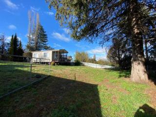Hidden Pines - close to UNE/schools, parkland view - Armidale - 3