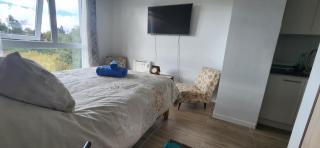 Departamento centro de Valdivia, Los Laureles 270, Isla Teja - Valdivia - 4
