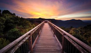 The Frontier Motel - Dorrigo - 1