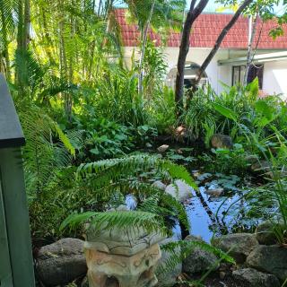 Island Serenity on Magnetic Island - 1