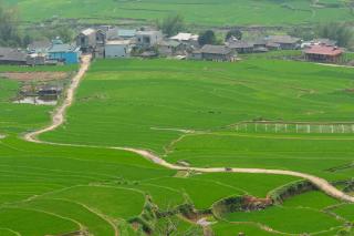 Truong Nhan Tram Tau Homestay - Cham Ta Lao - 9