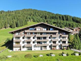 Ferienwohnung Königsleiten 28 - Top 36 - Wald im Pinzgau - 0