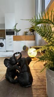 Brand New sunny apartment on Andrássy street - Budapest - 5