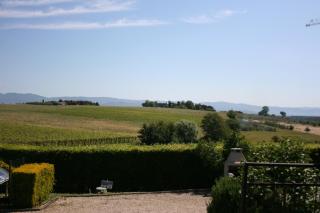 Villa Il Cedro - Petrignano sul Lago - 6