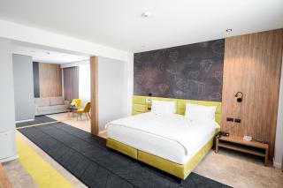Mandachi Hotel & SPA - Suceava - 5