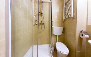 Hotel Transilvania - Alba Iulia - 4
