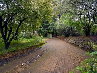 Rooiland Clarens - Clarens - 2
