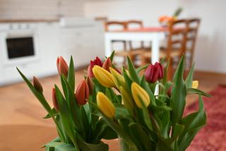 Krakovska apartments - 3