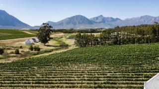 Manley Wine Estate - 7