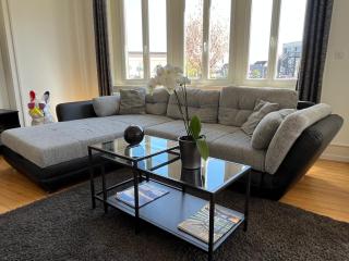 Appartement de Prestige au centre climatisé avec jardin privé - Colmar - 4