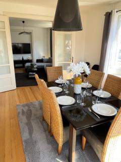 Appartement de Prestige au centre climatisé avec jardin privé - Colmar - 5