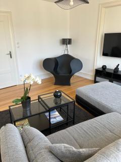 Appartement de Prestige au centre climatisé avec jardin privé - Colmar - 3