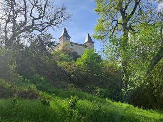 Chateau de la Segue - Fauroux - 0