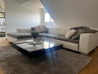 Bel appartement centre climatisé parking privé - Colmar - 6