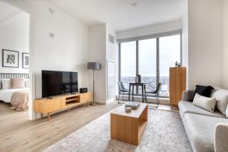 Clinton Hill 1br w wd gym pool nr BAM NYC-973 - 8