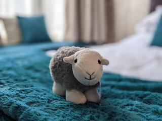 Avondale Guest House - Keswick - 8
