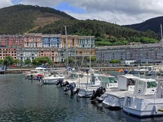 Viveiro Centro con Vistas - 7