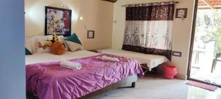 Shankar Homestay - Hampi - 4
