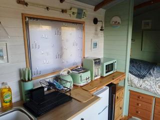 Fry’s Carriage - 7