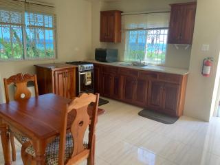 POINCIANA APARTMENT ONE 257 POINCIANA DRIVE GREEN WOOD MONTEGO BAY JAMAICA - Montego Bay - 0