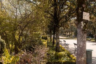 Logement calme, proche Plumereau - Tours - 7