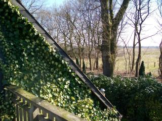 Haus Darmstadt - Ankelohe - 7